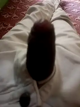 kumarstelugu online show from 12.19.25