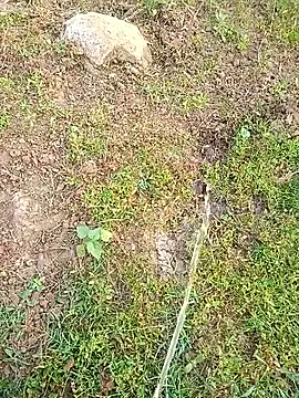 kumarstelugu online show from 01.16.26