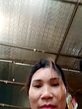 Bear bear0 online show from 10.24.25