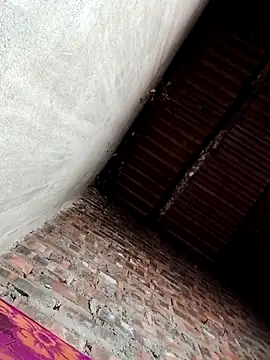 Bear bear0 online show from 12.19.25