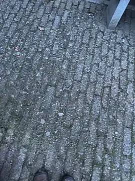 bart98geil online show from 02.14.26