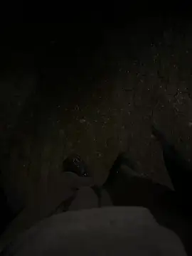 bart98geil online show from 03.01.26