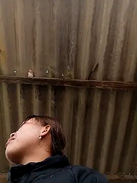 sowbibi online show from 02.08.26