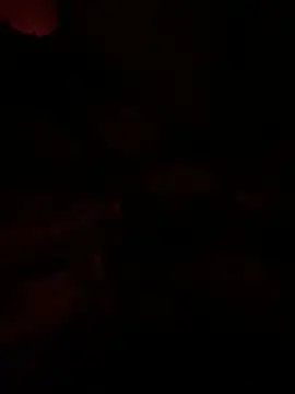 llllllllIIIll online show from 03.09.26