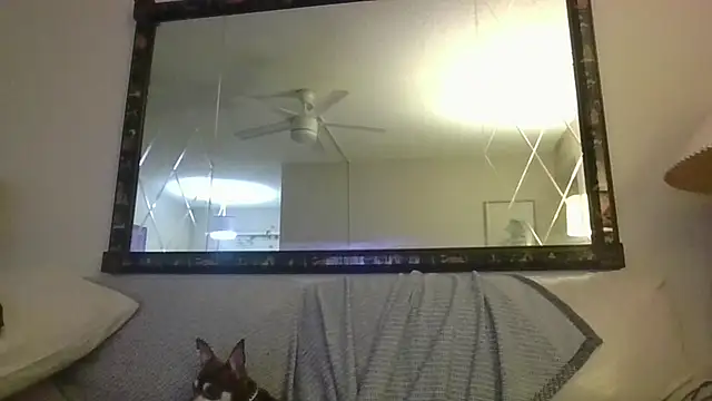 Snapshot of KosherCo313 chatting on 11.23.25 KosherCo313 online show from 11.23.25