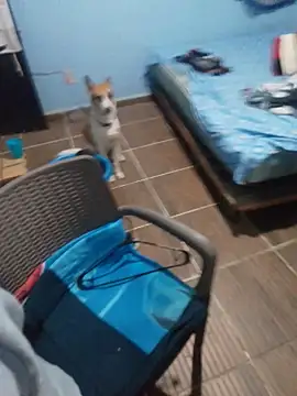 Snapshot of 666Daemon666 chatting on 01.17.26 666Daemon666 online show from 01.17.26