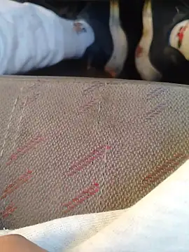 Snapshot of 666Daemon666 chatting on 01.17.26 666Daemon666 online show from 01.17.26