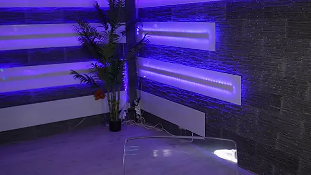 SexyCelline online show from 12.23.25