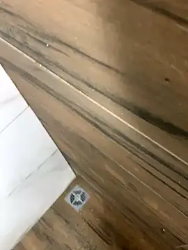 Snapshot of bfelipedasilva chatting on 10.25.25 bfelipedasilva online show from 10.25.25