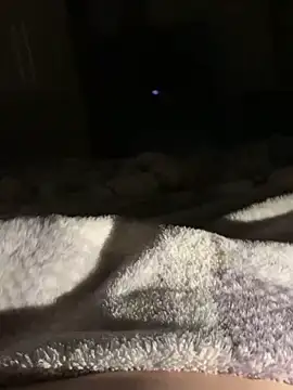 Snapshot of bfelipedasilva chatting on 11.01.25 bfelipedasilva online show from 11.01.25