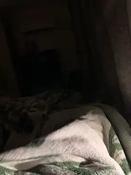 Snapshot of bfelipedasilva chatting on 11.06.25 bfelipedasilva online show from 11.06.25