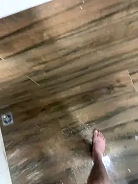 Snapshot of bfelipedasilva chatting on 12.04.25 bfelipedasilva online show from 12.04.25