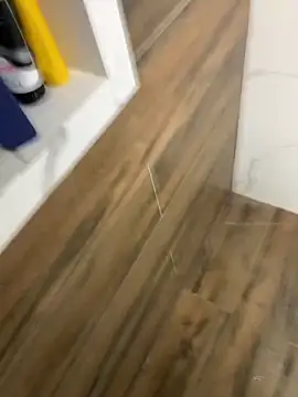 Snapshot of bfelipedasilva chatting on 12.21.25 bfelipedasilva online show from 12.21.25