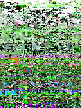 perfectguy4u online show from 10.28.25