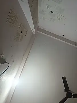 Snapshot of indoregigolo chatting on 10.29.25 indoregigolo online show from 10.29.25