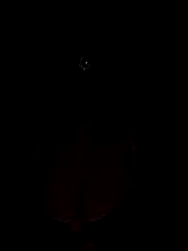 Mampykolkata online show from 11.15.25