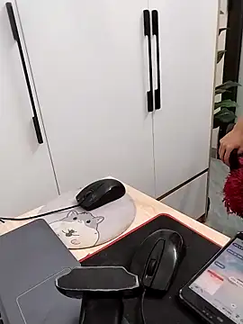 Tammy meri online show from 03.17.26