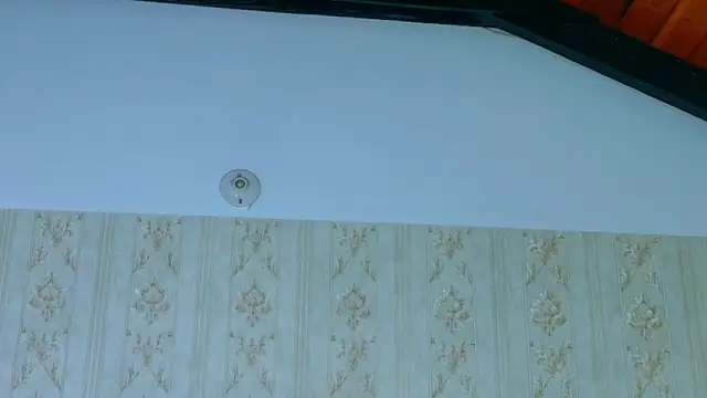 Snapshot of Kelly_Swift chatting on 02.14.26 Kelly Swift online show from 02.14.26