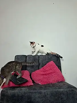 Mia fox29 online show from 11.13.25