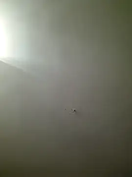 HarrySchwanz1000 online show from 10.27.25