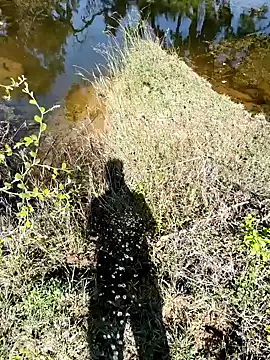 Snapshot of devil_boy_0909 chatting on 11.07.25 devil boy 0909 online show from 11.07.25