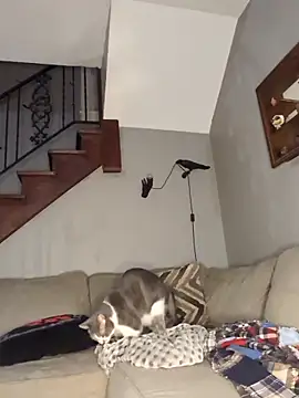 mattiethebaddieee online show from 03.21.26