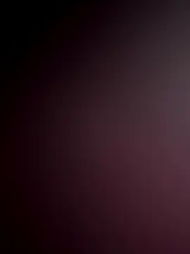 WildNour online show from 11.18.25