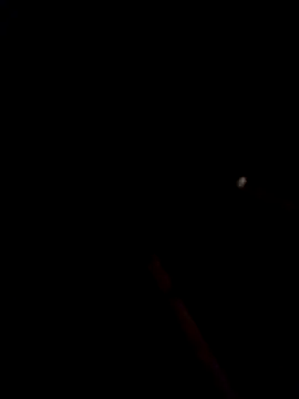 Snapshot of bella-la chatting on 01.15.26 bella-la online show from 01.15.26