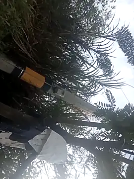 Camila-Valverde online show from 01.31.26