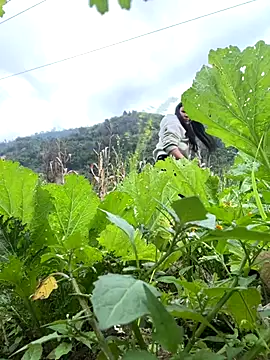 heodat-sexx online show from 12.17.25