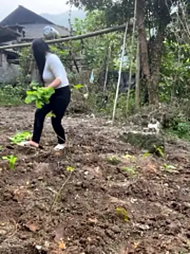 heodat-sexx online show from 12.20.25