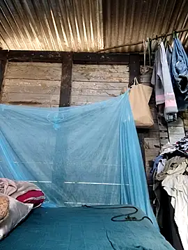 Soymaia online show from 01.19.26