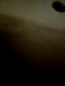 pino870 online show from 02.11.26