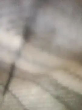 Pallu Asha online show from 03.01.26