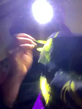 bi-bo123 online show from 01.11.26