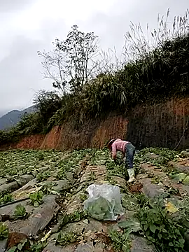 min nyny online show from 11.21.25