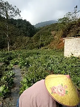 min nyny online show from 12.02.25