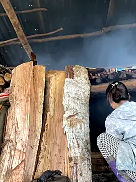 bardamtw online show from 10.31.25