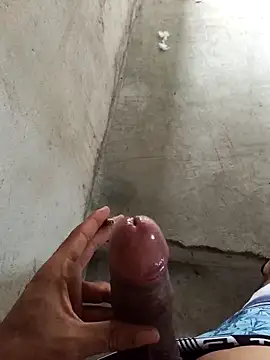 DeividLuiztdb online show from 03.31.26