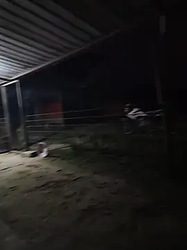 Snapshot of taylor1991V chatting on 12.01.25 taylor1991V online show from 12.01.25