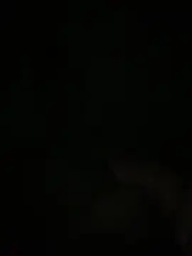 Snapshot of Manfredini607452 chatting on 11.18.25 Manfredini607452 online show from 11.18.25