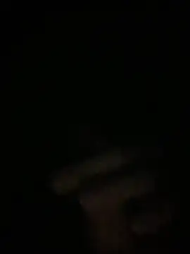 Snapshot of Manfredini607452 chatting on 11.26.25 Manfredini607452 online show from 11.26.25