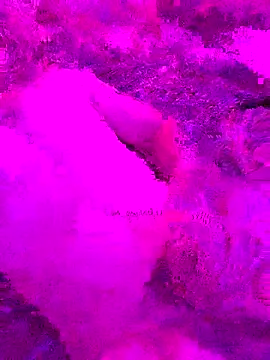 PitoDuroWuero online show from 11.27.25