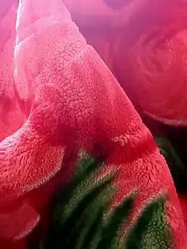 tamal2511 online show from 01.09.26