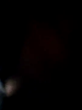 ANIMAA09 online show from 11.29.25