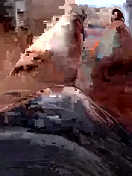 Vanja33 online show from 11.03.25