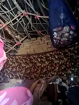 Jooli cuty online show from 02.21.26