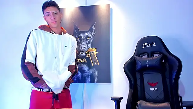 stiven 24cm online show from 11.21.25