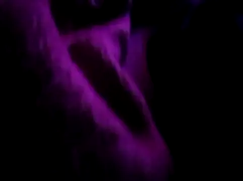 Snapshot of akram306 chatting on 11.14.25 akram306 online show from 11.14.25