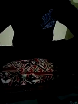 akram306 online show from 03.27.26